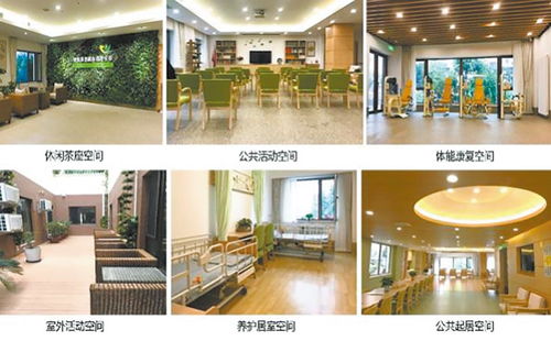 发展新型地域化复合型社区养老设施服务供给模式——以北京朝阳区餐饮服务为例