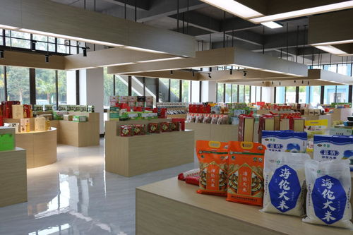 黑龙江海伦富硒产品走进粤港澳大湾区菜篮子，助力朝阳区餐饮服务升级